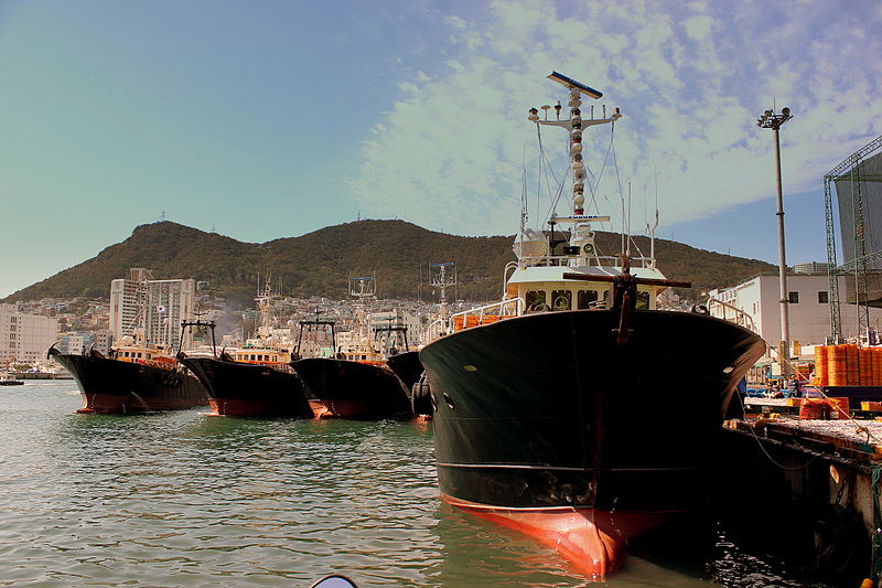 800px-busan_fishing_fleet_at_busan_port_south_korea_oct_2012