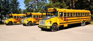 File:NS - School bus.jpg